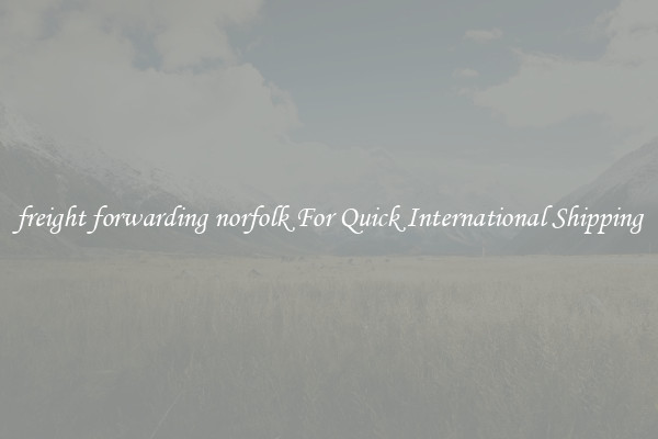 freight forwarding norfolk For Quick International Shipping