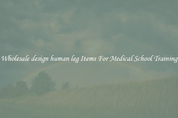Wholesale design human leg Items For Medical School Training