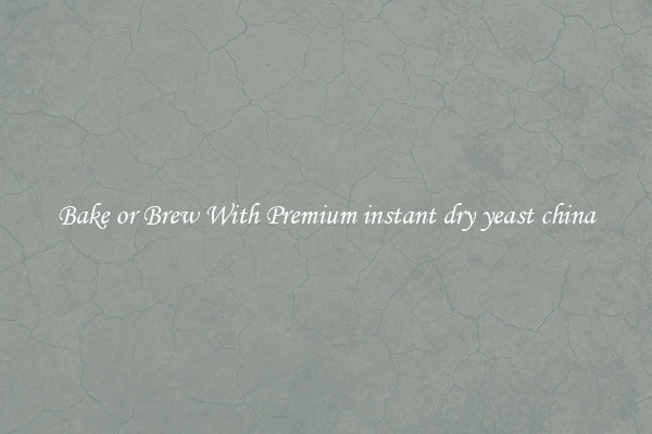 Bake or Brew With Premium instant dry yeast china