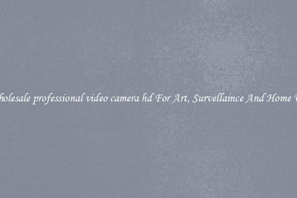 Wholesale professional video camera hd For Art, Survellaince And Home Use