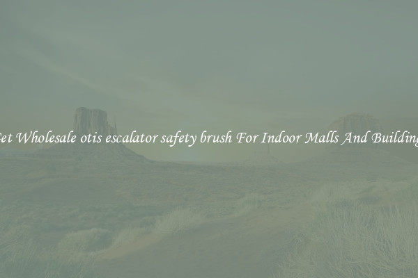 Get Wholesale otis escalator safety brush For Indoor Malls And Buildings