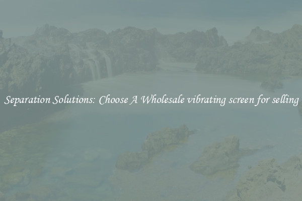 Separation Solutions: Choose A Wholesale vibrating screen for selling
