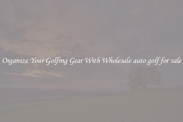 Organize Your Golfing Gear With Wholesale auto golf for sale