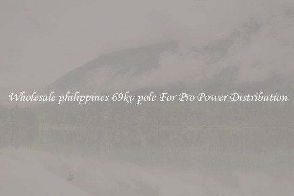 Wholesale philippines 69kv pole For Pro Power Distribution