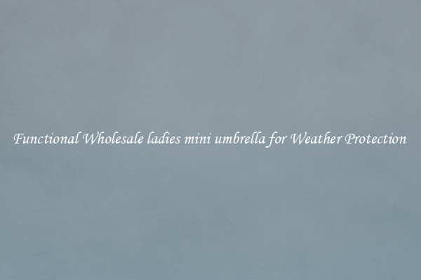 Functional Wholesale ladies mini umbrella for Weather Protection 