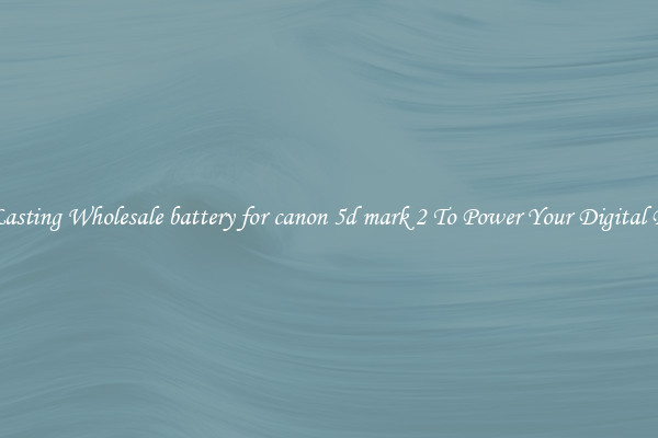 Long Lasting Wholesale battery for canon 5d mark 2 To Power Your Digital Devices