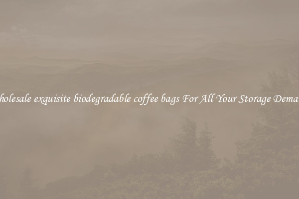 Wholesale exquisite biodegradable coffee bags For All Your Storage Demands