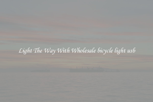 Light The Way With Wholesale bicycle light usb