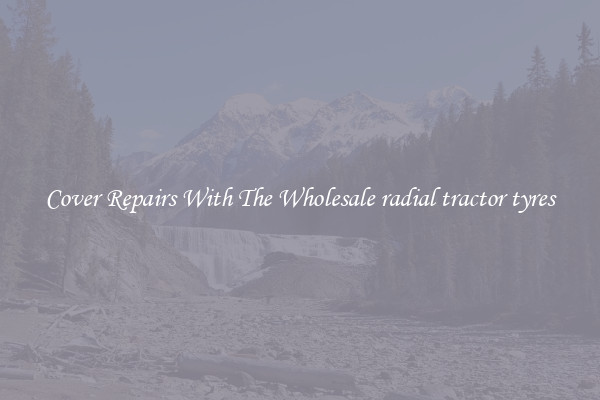  Cover Repairs With The Wholesale radial tractor tyres 