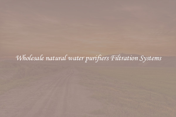Wholesale natural water purifiers Filtration Systems