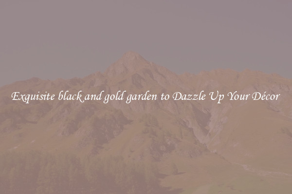 Exquisite black and gold garden to Dazzle Up Your Décor 