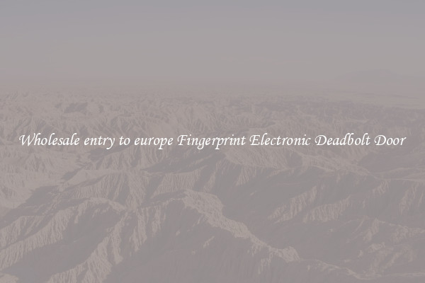 Wholesale entry to europe Fingerprint Electronic Deadbolt Door 