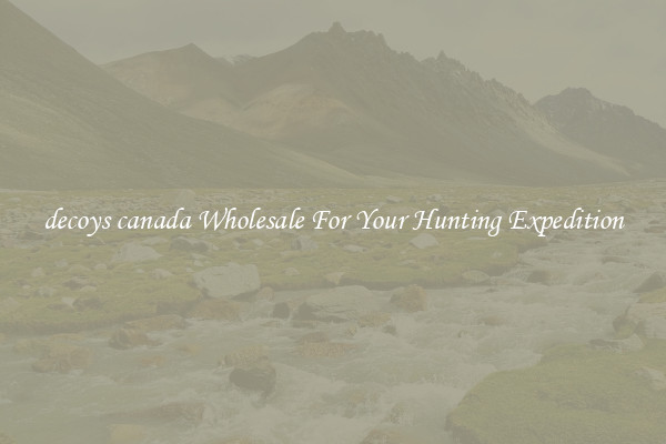 decoys canada Wholesale For Your Hunting Expedition