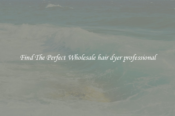 Find The Perfect Wholesale hair dyer professional