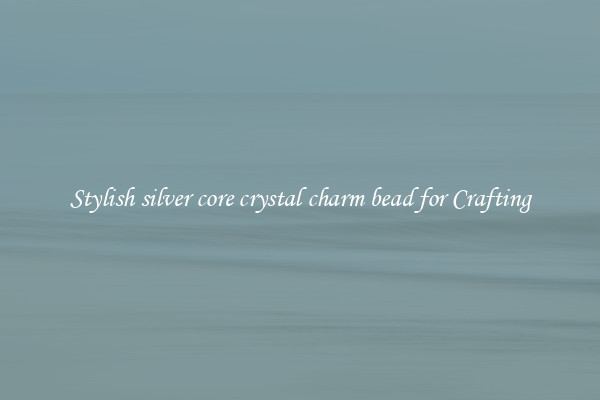 Stylish silver core crystal charm bead for Crafting