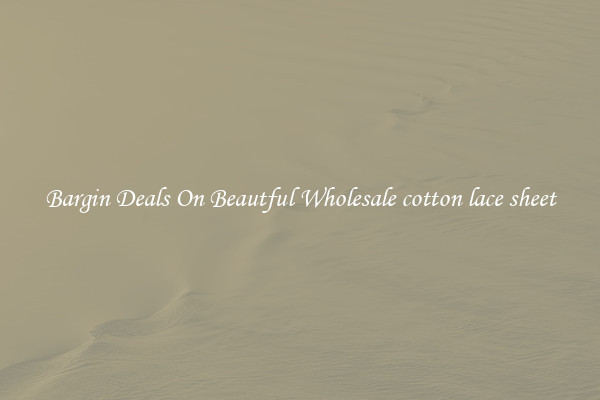 Bargin Deals On Beautful Wholesale cotton lace sheet